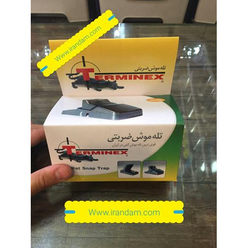 تله موش ضربتی