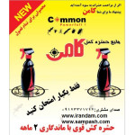 اسپری حشره کش کامن